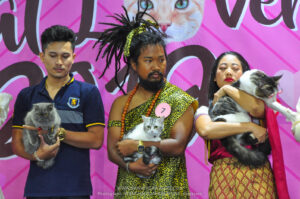 งาน cat lover เซ็นทรัล นครศรีธรรมราช