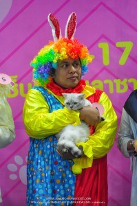 งาน cat lover เซ็นทรัล นครศรีธรรมราช