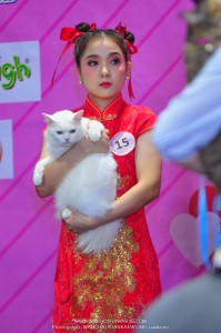 งาน cat lover เซ็นทรัล นครศรีธรรมราช