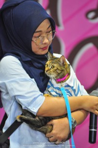 งาน cat lover เซ็นทรัล นครศรีธรรมราช