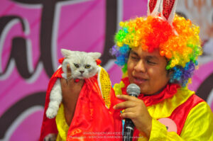 งาน cat lover เซ็นทรัล นครศรีธรรมราช