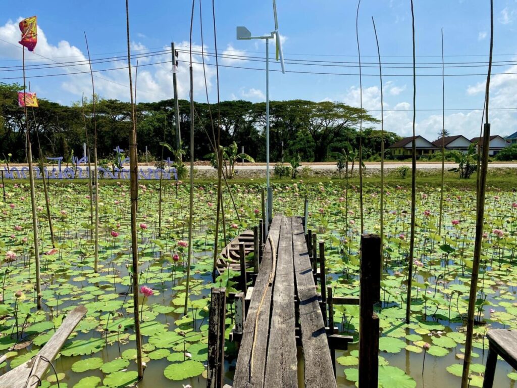 ก๋วยเตี๋ยวเรือ เมืองนครศรีธรรมราช