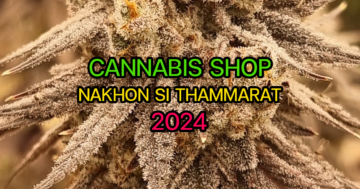 cannabis shop in Nakhon si thammarat city