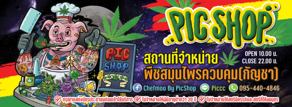 cannabis shop nakhonsithammarat