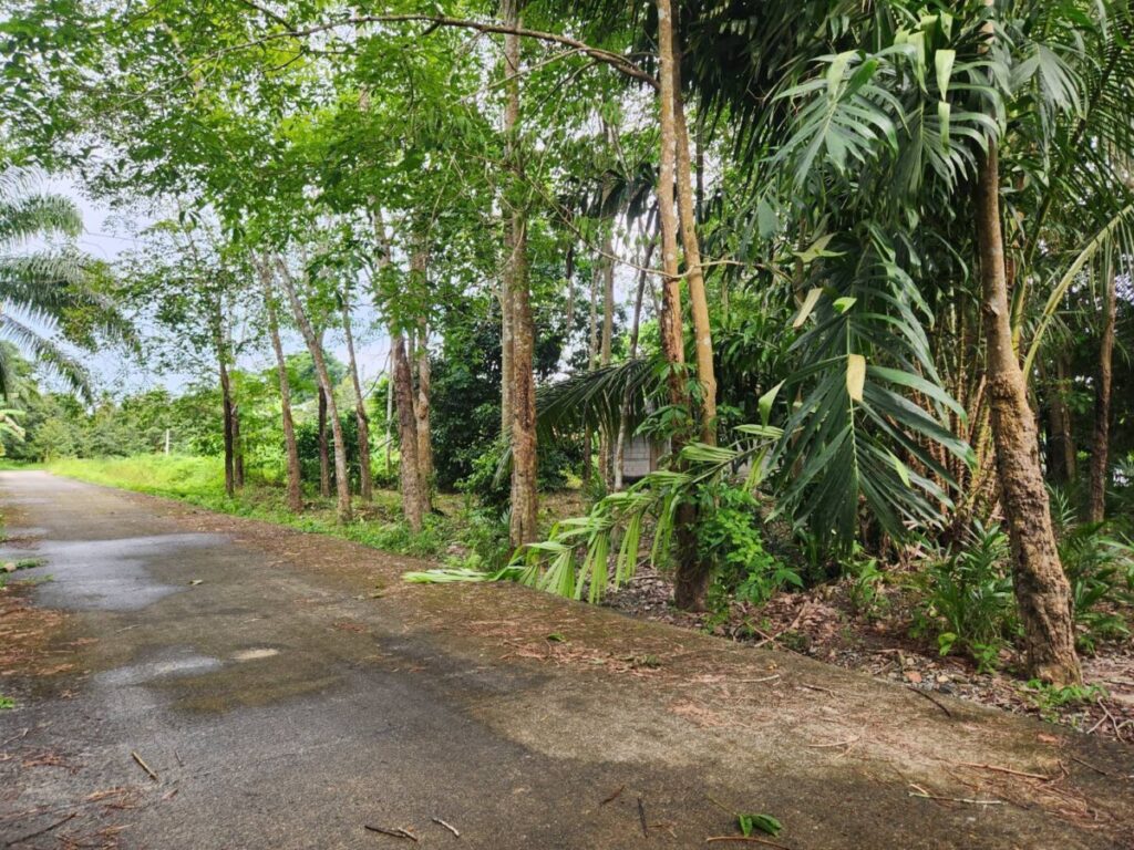 ที่ดิน สวนผสม หินตก ร่อนพิบูลย์ นครศรีธรรมราช