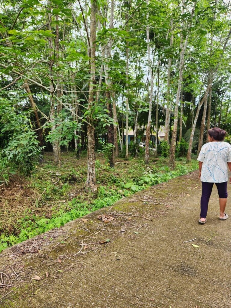 ที่ดิน สวนผสม หินตก ร่อนพิบูลย์ นครศรีธรรมราช